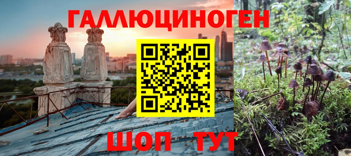 Псилоцибиновые грибы MAGIC MUSHROOMS  Псилоцибиновые грибы Cubensis  Вход с VPN  Соль-Илецк 